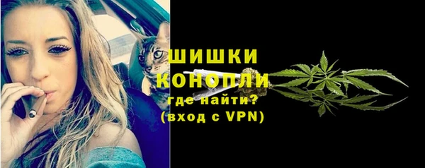 ПСИЛОЦИБИНОВЫЕ ГРИБЫ Белокуриха