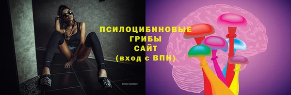 ПСИЛОЦИБИНОВЫЕ ГРИБЫ Белокуриха