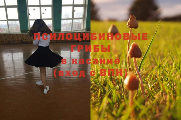 ПСИЛОЦИБИНОВЫЕ ГРИБЫ Белокуриха