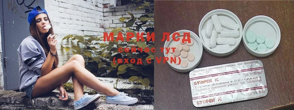ПСИЛОЦИБИНОВЫЕ ГРИБЫ Белокуриха