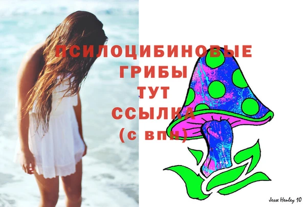 тгк Беломорск