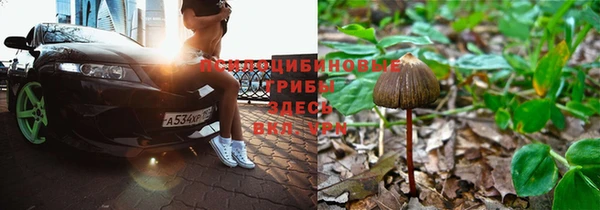 тгк Беломорск