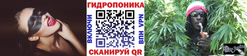 Марихуана сатива купить наркоту дарк нет клад Хадыженск